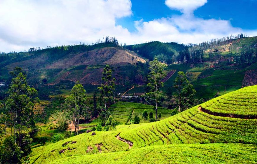 MIZORAM TOUR PACKAGE