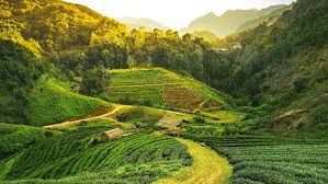 ASSAM TOUR PACKAGE
